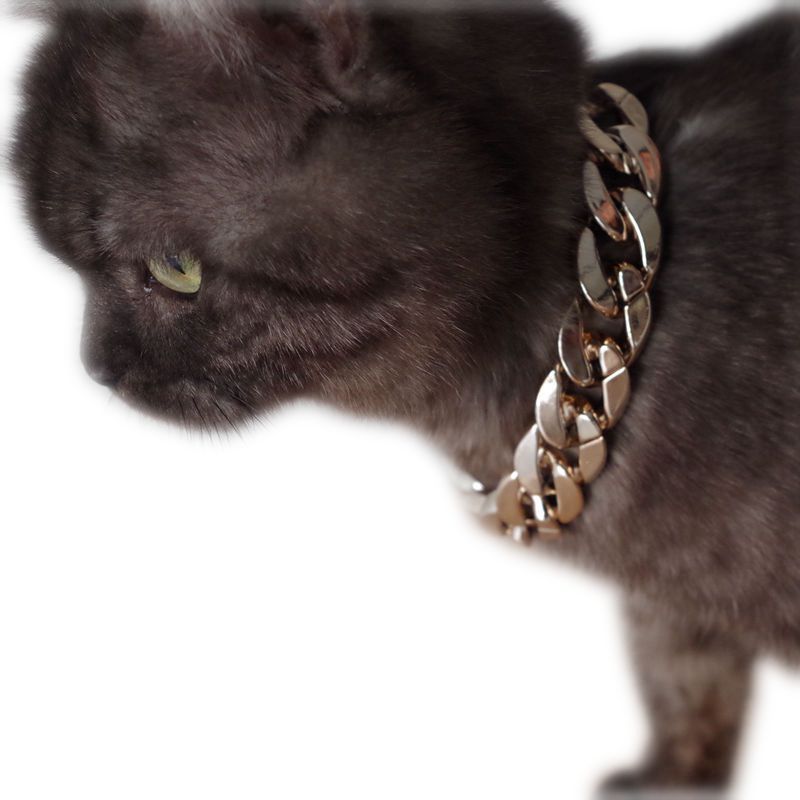Elegant Pet Glamour Chain